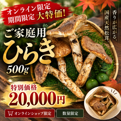 取扱量日本一 国内産松茸専門問屋